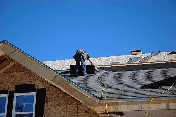 Best Roof Gutter Cleaning  in Robertsde, AL